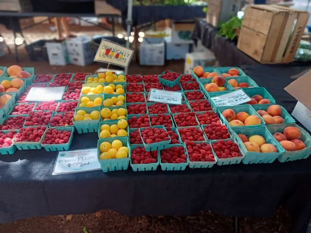 New Morning Farm Market at Sheridan School