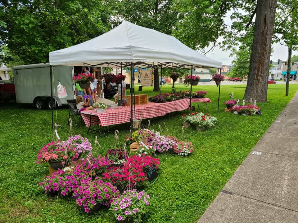 Plainfield Chamber Farmers Market