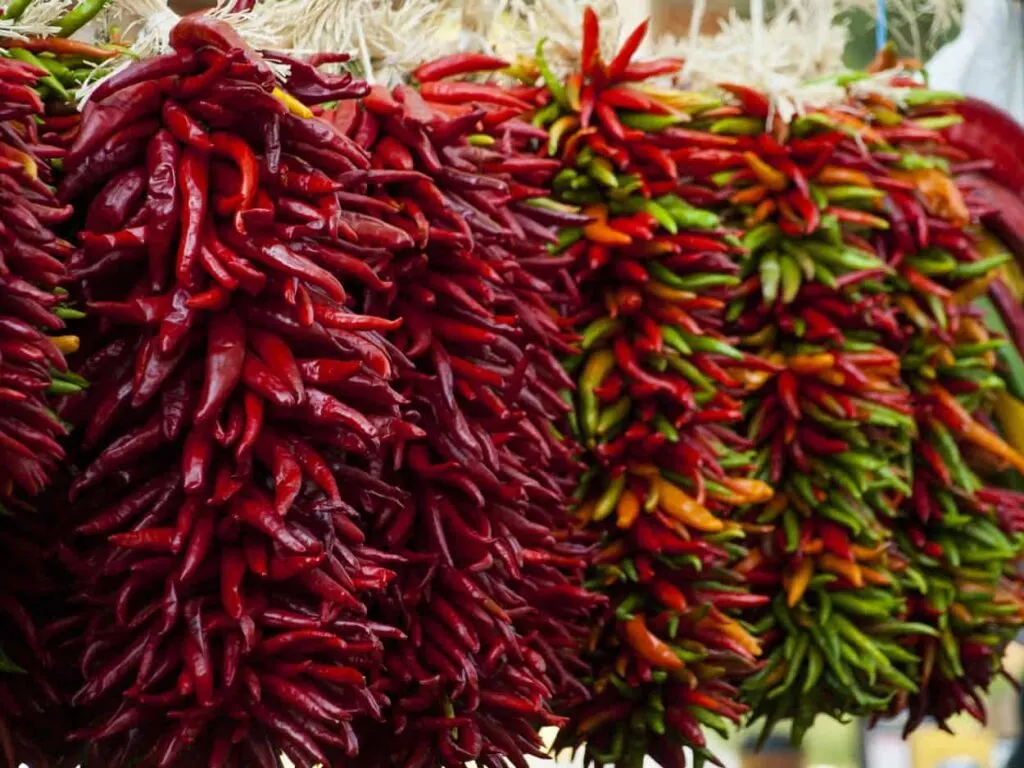 Farmers Chile Market