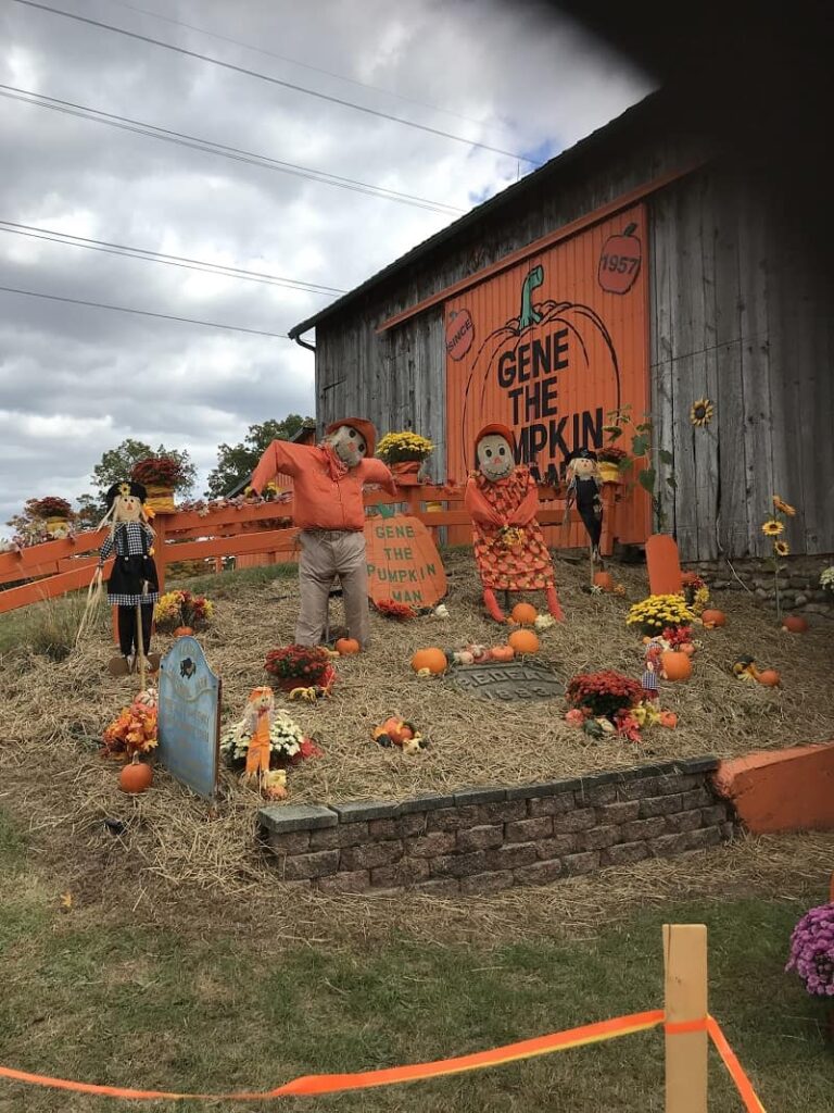 Gene The Pumpkin Man