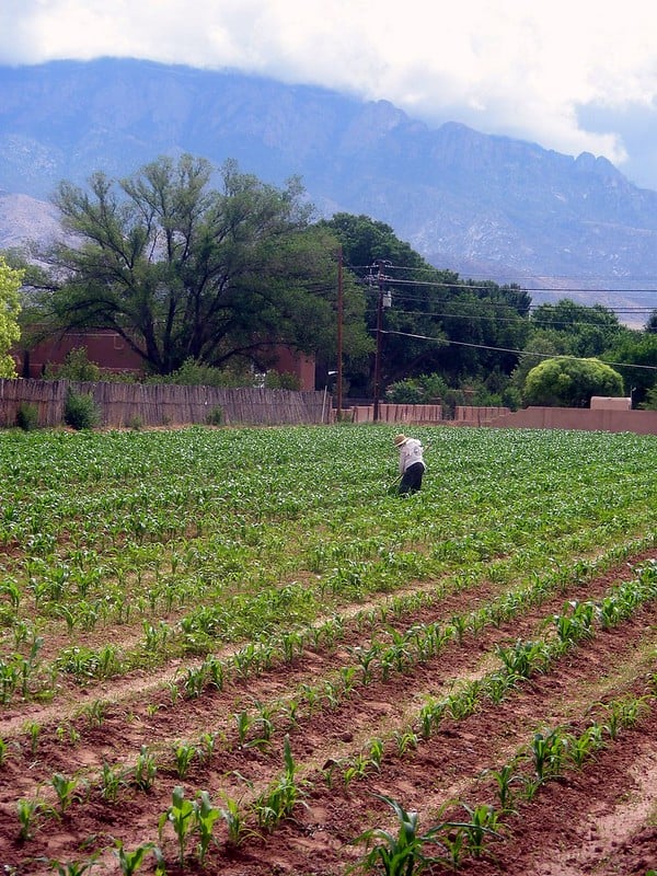 Wagner Farm Corrales