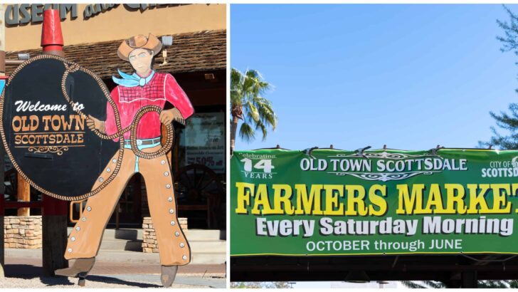 14 Best Farmers Markets in Scottsdale, Arizona (and Nearby Areas)