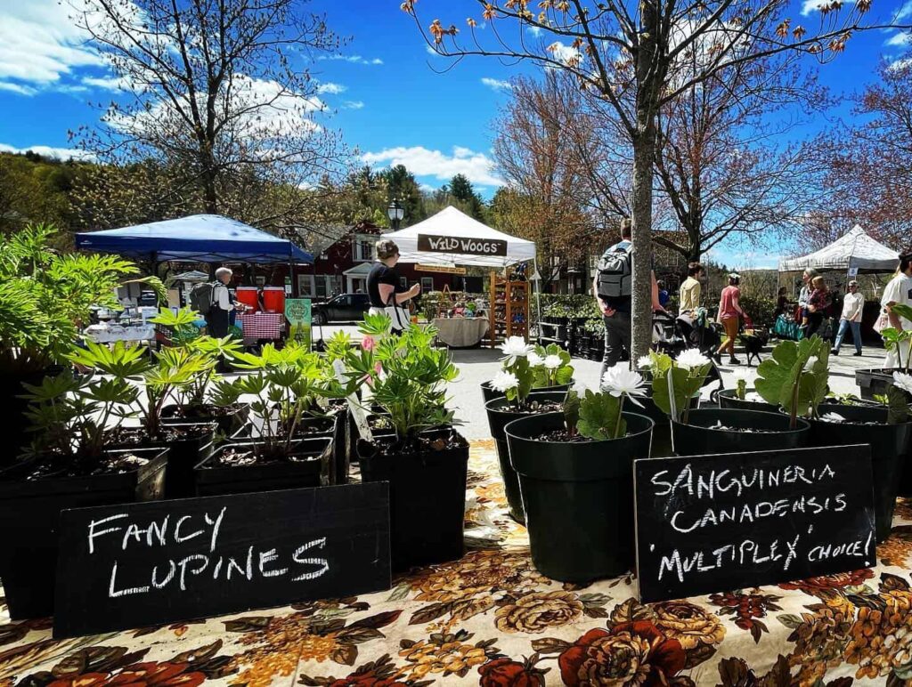 Capital City Farmers Market – Montpelier