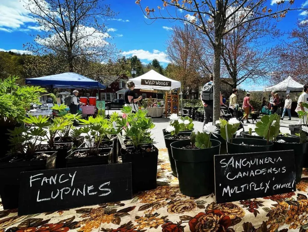 Capital City Farmers Market – Montpelier