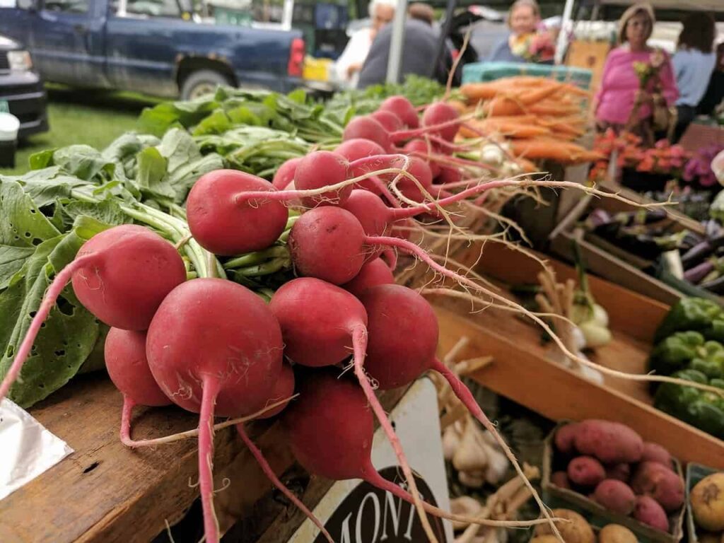 Shelburne Farmers Market
