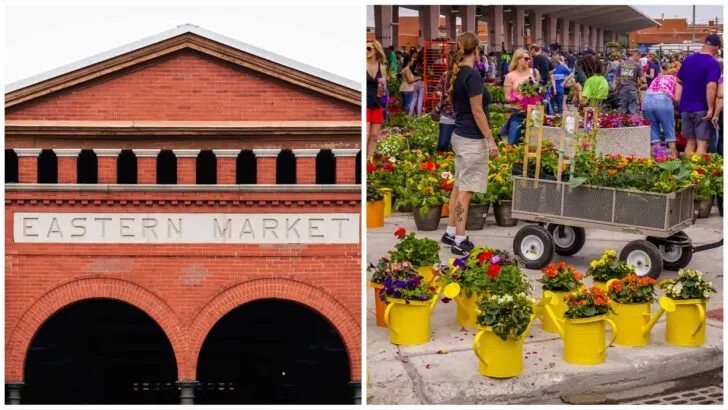Best Farmers Markets in Michigan