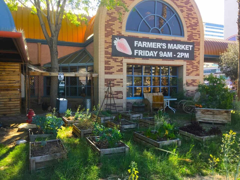 10 Best Farmers Markets in Las Vegas To Visit This Year Downtown