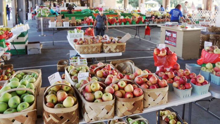 11 Best Farmers Markets in Raleigh For Fresh Local Produce